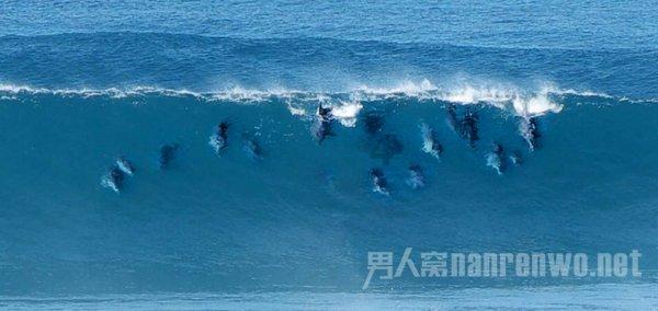 偶像经纪人