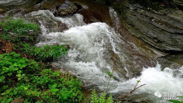 春运期间，郑州铁路客流高峰日加开71对夜间高铁
